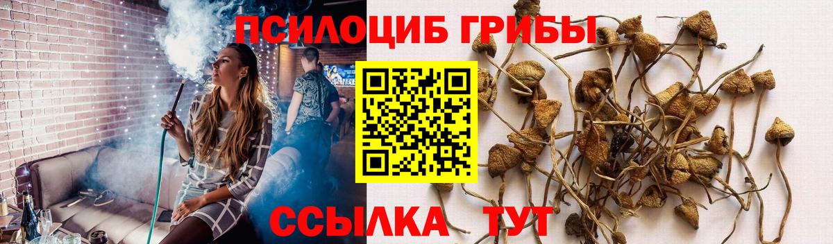 Верхняя Салда  купить наркоту  Вход с VPN  Псилоцибиновые грибы мухоморы 